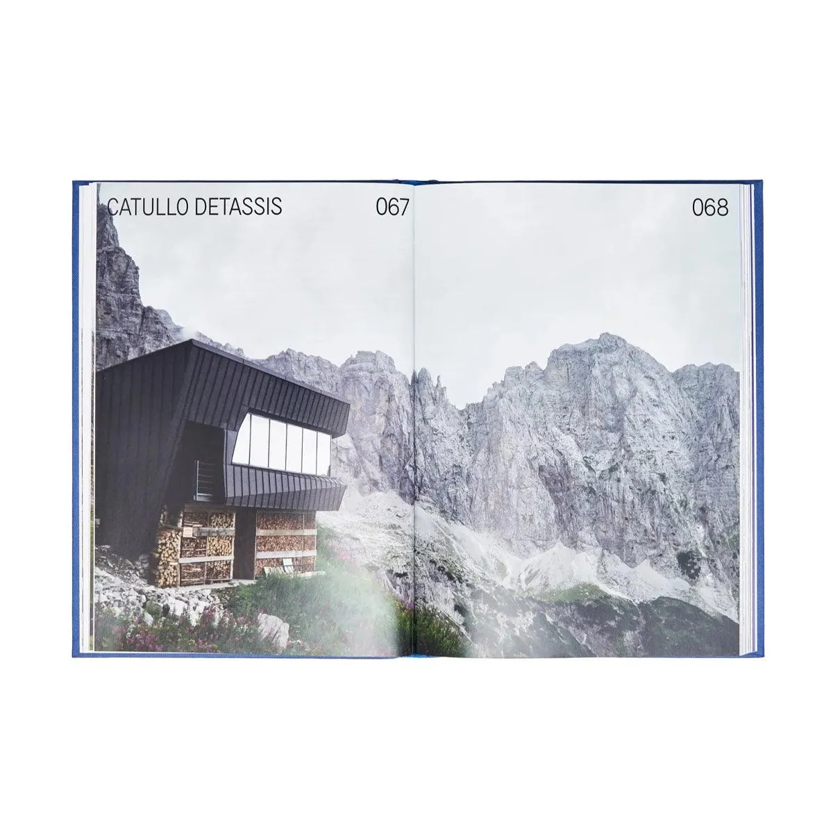 Aesthetic Survival Book