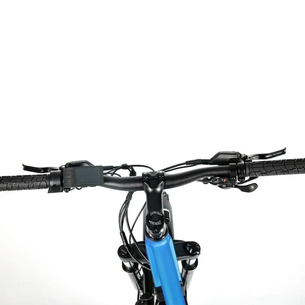 EUNORAU FAT-HD 1000W 48V Fat Tire Mountain Electric Bike