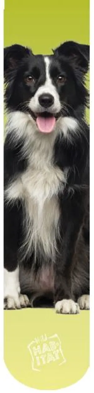Wild Habitat Sublimation Socks- Border Collie